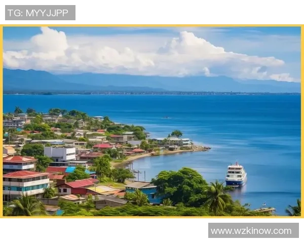 纽西兰与索罗门群岛的精彩对决分析与赛后点评